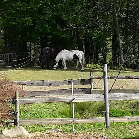 Apartmán Kuhlmanns Hof *