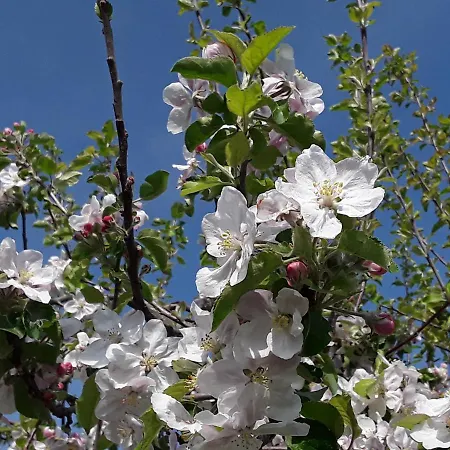 Kuhlmanns Hof Apartmán