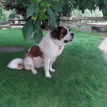 Kuhlmanns Hof * Vlotho