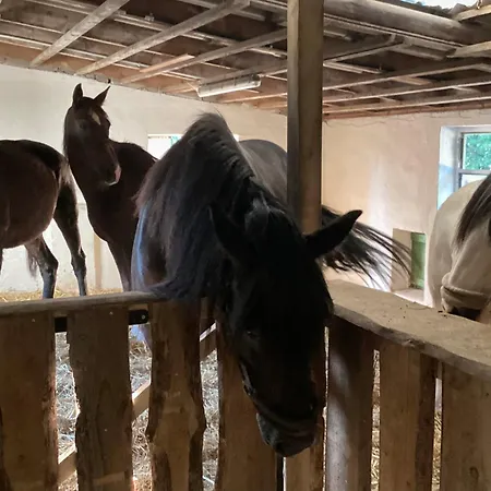 Kuhlmanns Hof * Vlotho