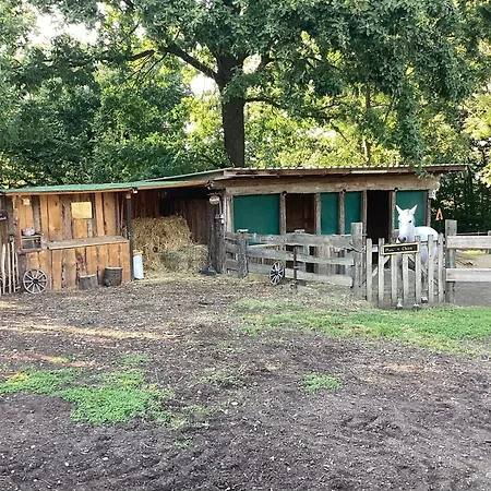 Apartmán Kuhlmanns Hof