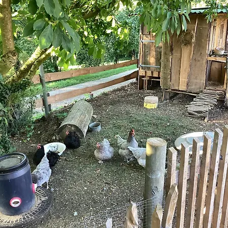 Apartment Kuhlmanns Hof *