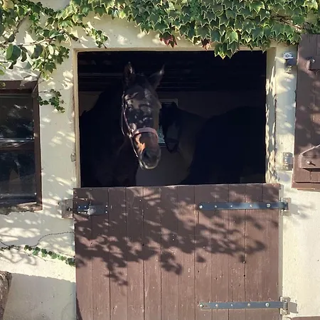 Kuhlmanns Hof Vlotho