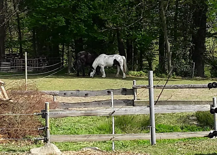 Appartement Kuhlmanns Hof *