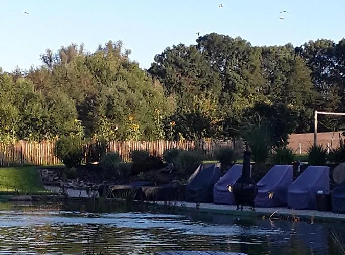 Daire Kuhlmanns Hof *