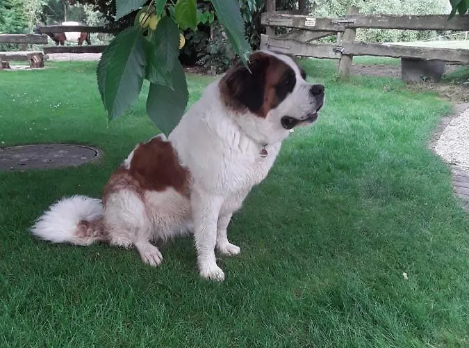 Kuhlmanns Hof * Vlotho