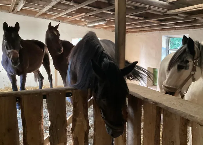 Kuhlmanns Hof * Vlotho