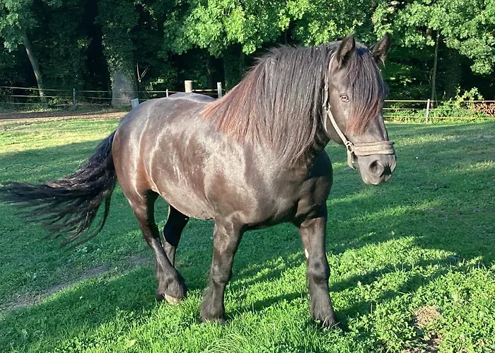 Apartment Kuhlmanns Hof Vlotho