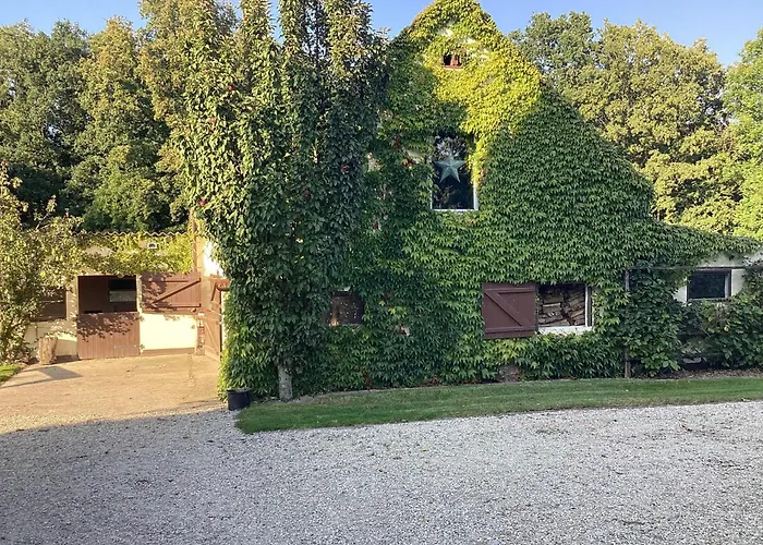 Kuhlmanns Hof Apartment