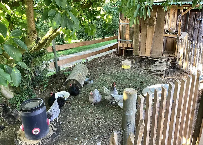 Appartement Kuhlmanns Hof *