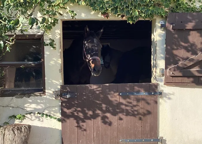 Kuhlmanns Hof Vlotho